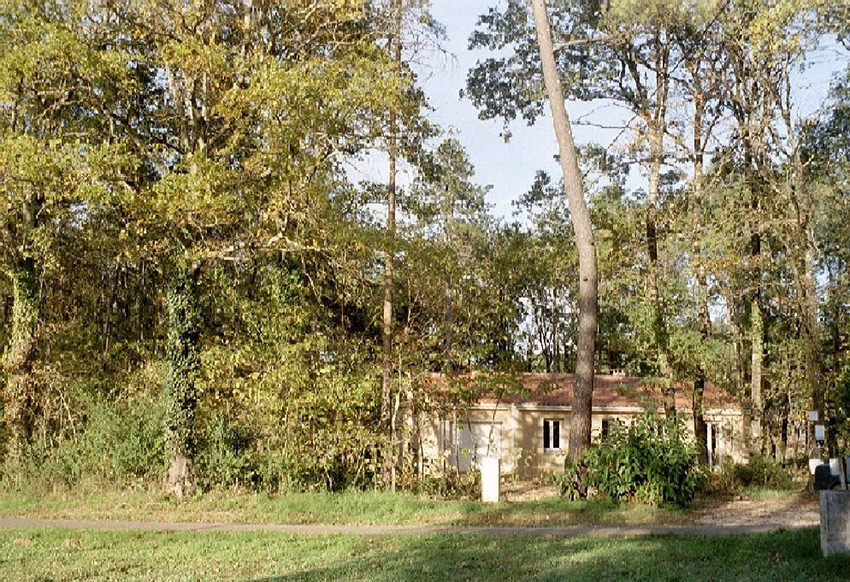 Vooraanzicht met omliggende bomen